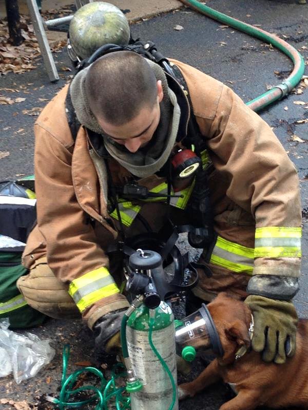memphis firefighter saving a dog
