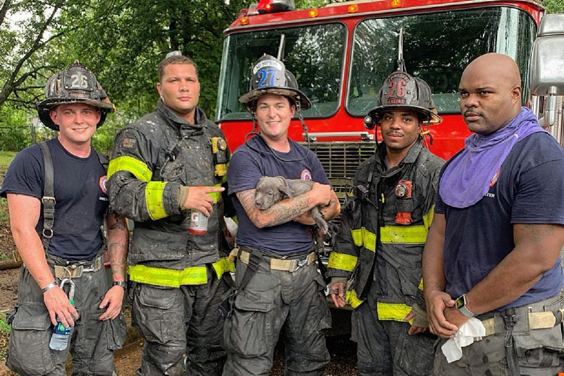 memphis-firefighters-saving-puppy